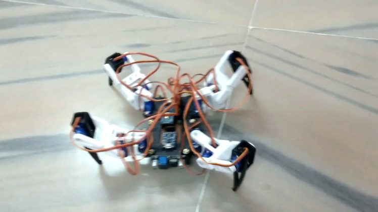 Spider Robot, Quad Robot, Quadruped robot DIY. 
