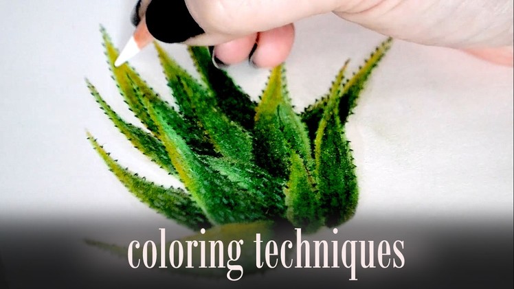 Coloring tips with Polychromos ● Blending with baby oil