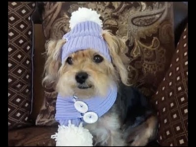 How to crochet dog hat and scarf with recycled sweater. bufanda y gorro para perrito