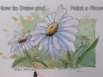 How to paint a Flower. Line and Wash Daisy. Easy to follow. Real Time. Peter Sheeler