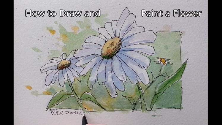 How to paint a Flower. Line and Wash Daisy. Easy to follow. Real Time. Peter Sheeler