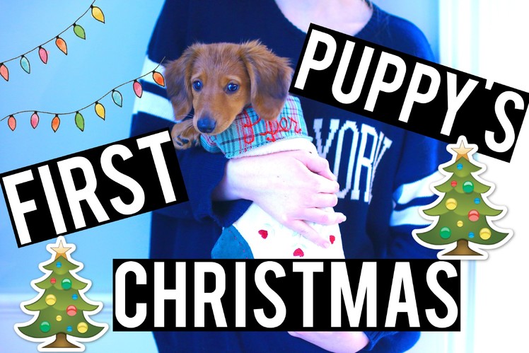 PUPPY'S FIRST CHRISTMAS! | VLOGMAS