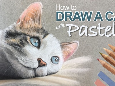 How to Draw a Cat with Pastels