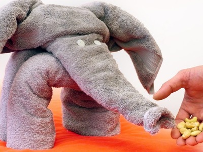 How to Make a Towel Elephant