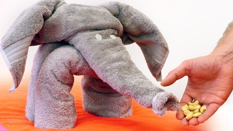 How to Make a Towel Elephant