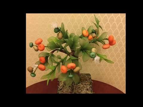 How to make nylon stocking - Orange tree
