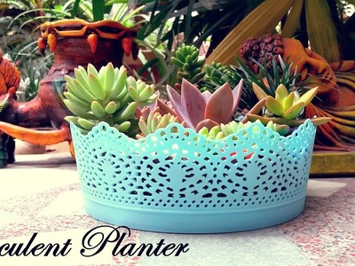 Make a Beautiful Succulent Planter in 5 Minutes