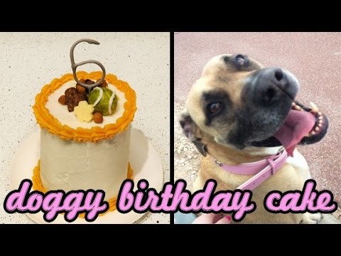 No Bake Doggy Birthday Cake Recipe | CupcakeGirl