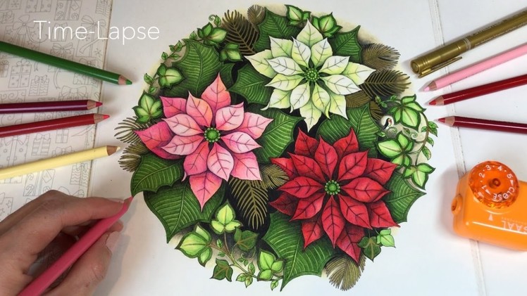 Time-Lapse: Poinsettias | Johanna's Christmas Coloring Book
