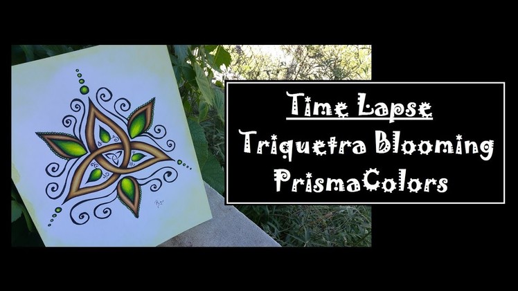 Triquetra Blooming Art Time Lapse