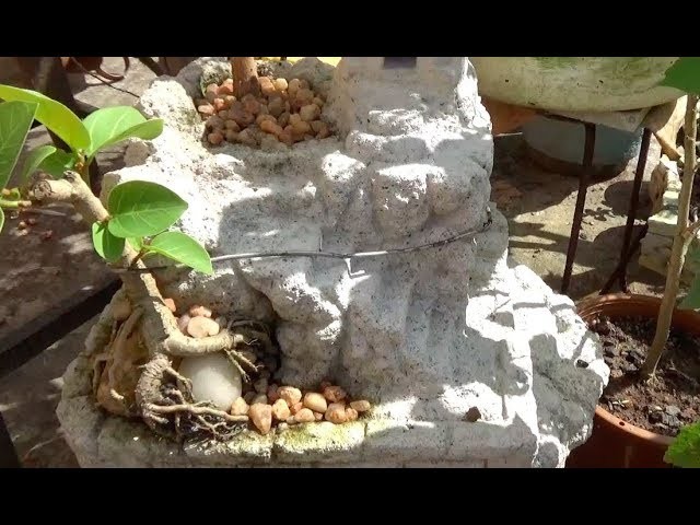 Bonsai tree planting in Ancient Temple type treepot (with English subtitle)