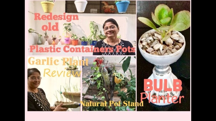Electric BULB Planter, Tea Cup Pots, Plastic Recycled Pots, DIY plant stand with Aruna Agrawal