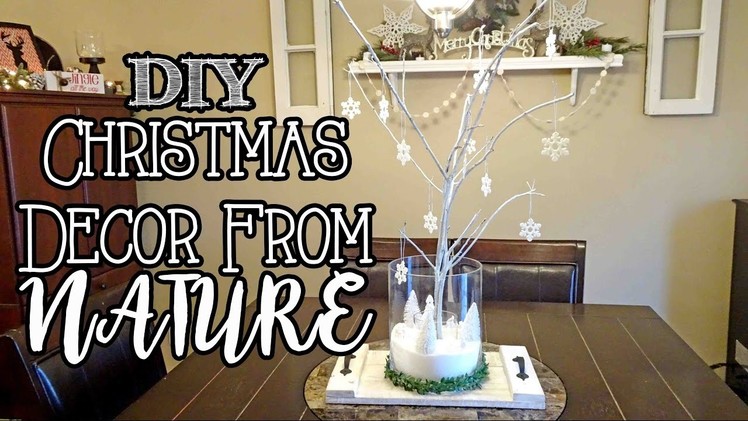 FREE Christmas Decor from Nature