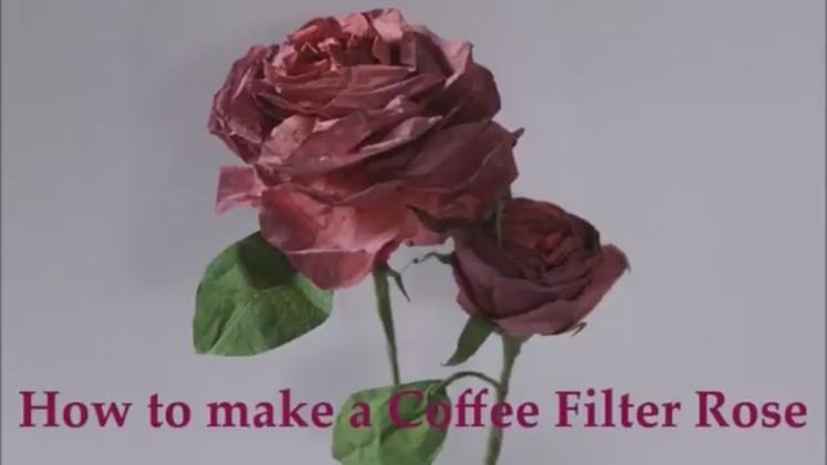 How to make Coffee Filter Roses with Hey Angela Marie