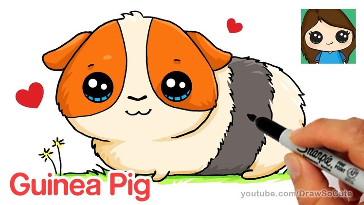 How to Draw a Guinea Pig Easy and Cute
