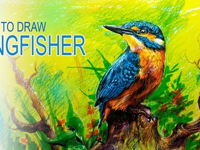 How To Draw A Kingfisher With Color Pencils And Markers by Paintlane
