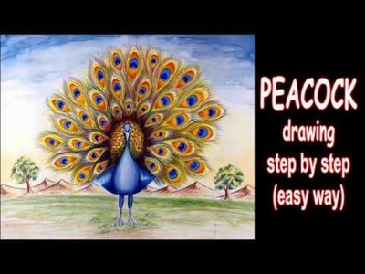 How to draw best peacock painting in easy method
