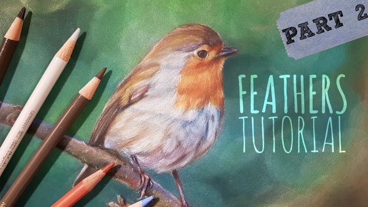 How To Draw Feathers | Coloured Pencil Tutorial