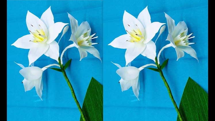 How to make Crepe paper Flowers Amazon Lily. Eucharis grandiflora (flower # 231)