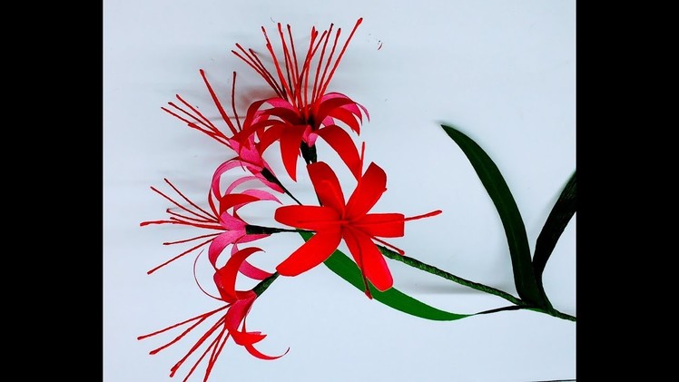 How to make Red Spider Lily. Lycoris radiata (flower # 235)