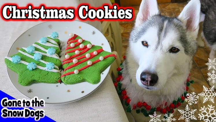 Christmas Cookies for Dogs | DIY Easy Dog Treats Recipe 90