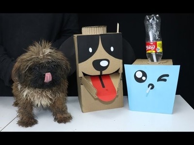 DIY Puppy Dog Food & Water Dispenser from Cardboard at Home
