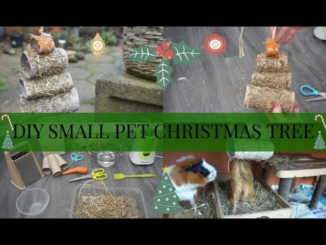 DIY SMALL PET TOY.TREAT - CHRISTMAS TREE | Imy'sAnimals