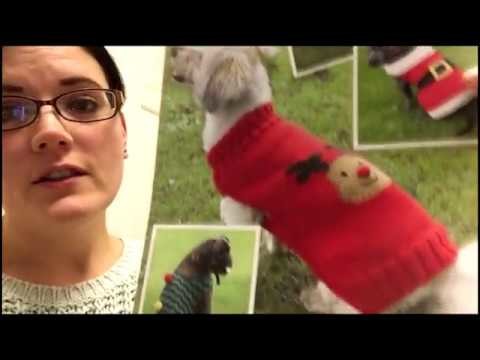 Handmade Knitted Merino Wool Christmas Dog Jumper For Alfie The Puggle!