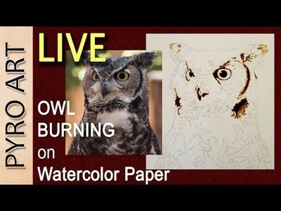 Pyrography: LIVE Wood Burning the Horned Owl on Watercolor paper