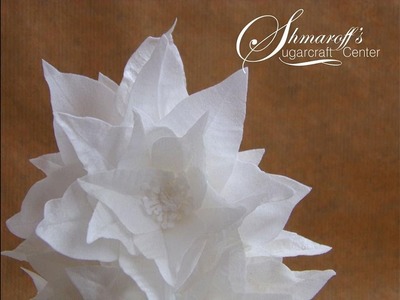 Wafer Paper Poinsettia with Petya Shmarova