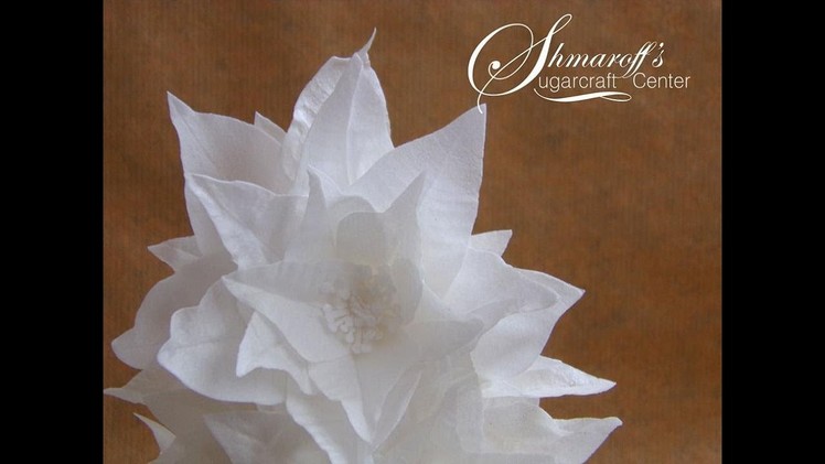 Wafer Paper Poinsettia with Petya Shmarova