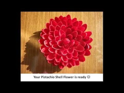 DIY : How to make Pistachio (Pista) Shell Flower?