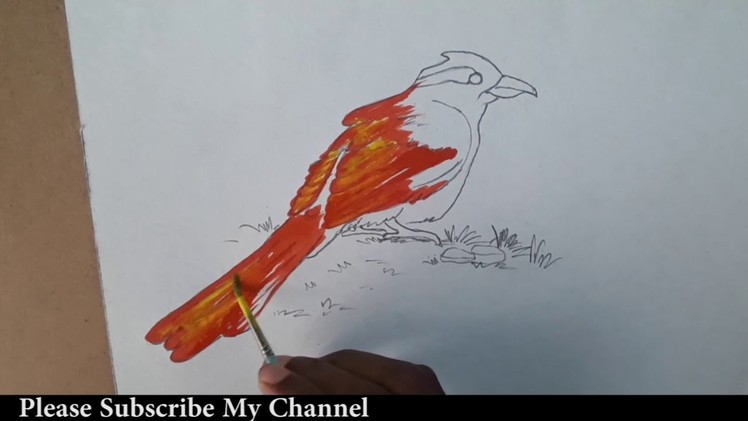 Draw  3D Bird | How to Draw 3D Bird From Water Mark On Paper. Trick Art . Pigeon Bird | Best 3D Drow