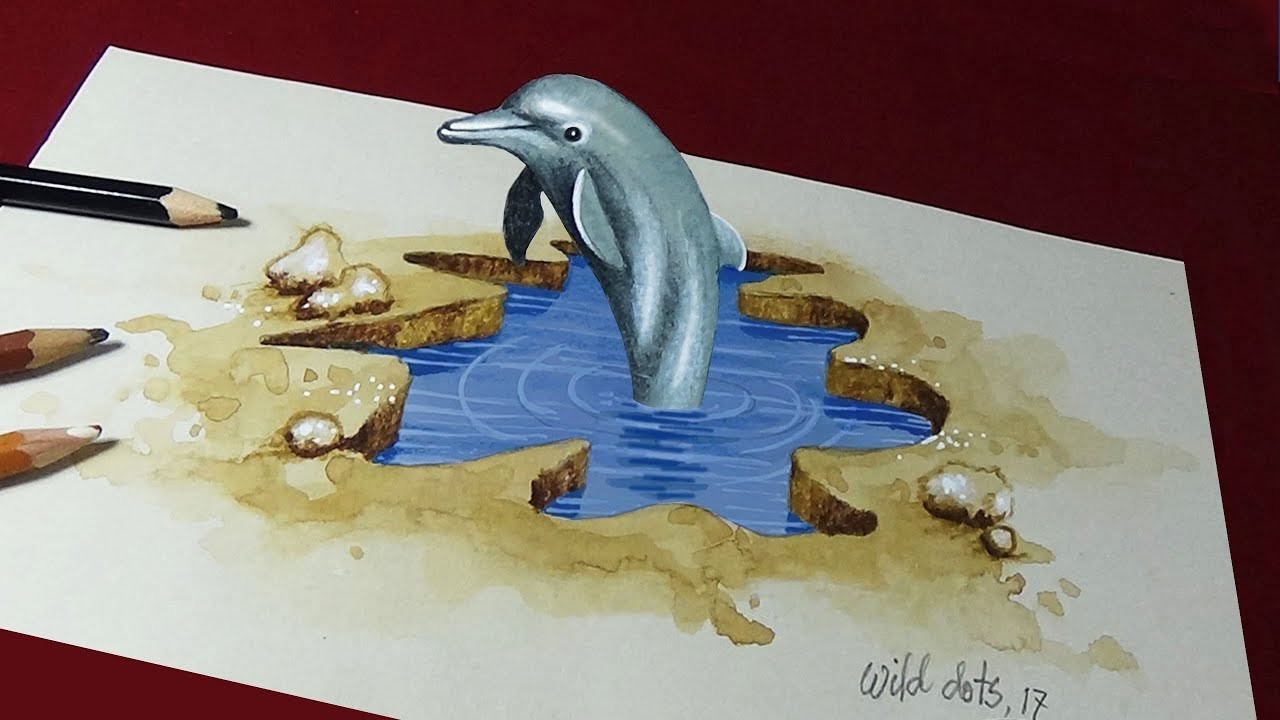 How To Draw A 3D Dolphin | 3d Art | Optical illusion |