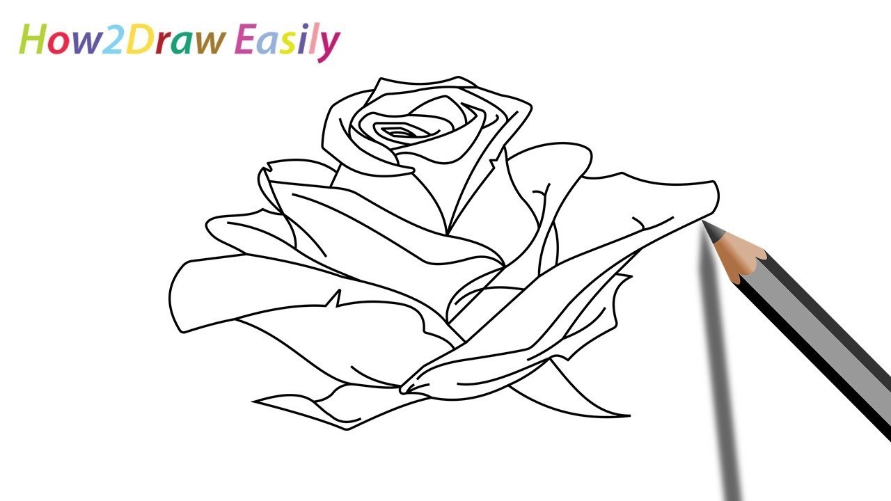 How To Draw A Rose Easy Drawing Step By Step For Beginners