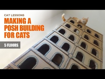 How to Make a 5 Floor Building for Cats