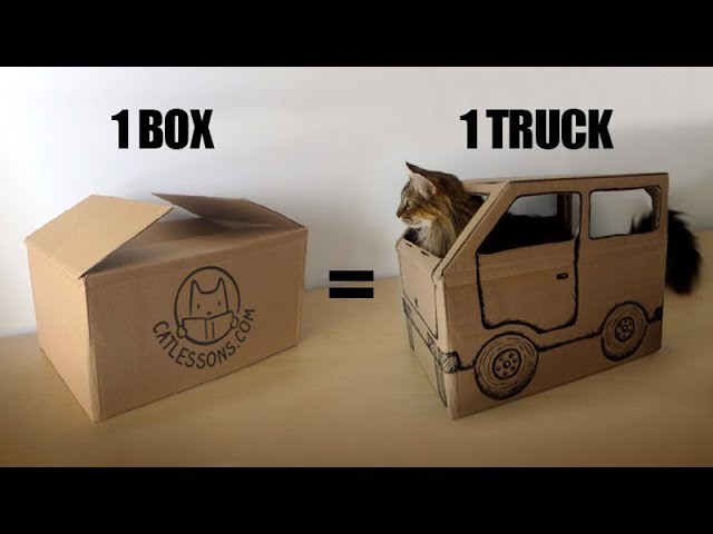 Transform a Box into a Fun Cat Truck