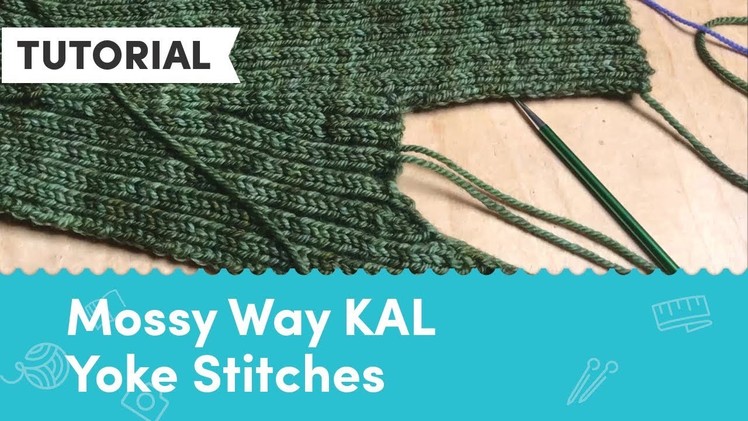 Carol Feller's Mossy Way KAL - Clue 2: Picking up Yoke Stitches