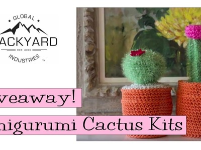 Giveaway!  Amigurumi Cactus Kits