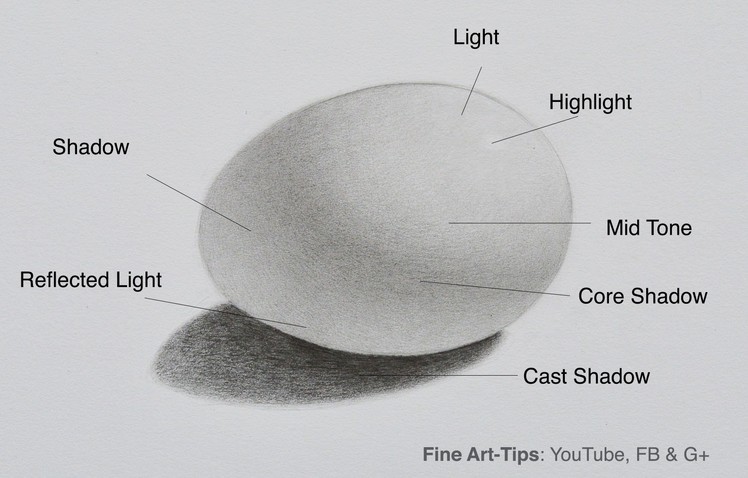 How to Shade - How to draw an egg - Shadows