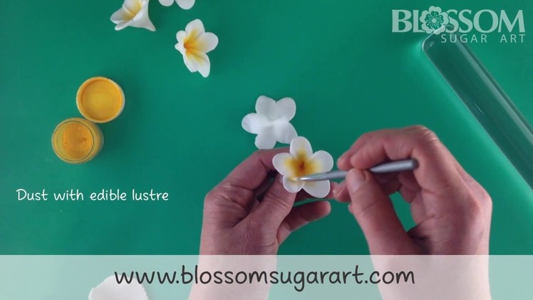Making a frangipani. plumeria flower - Quick and Easy