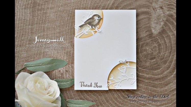 Petal Palette clean and simple card using Stampin Up products with Jenny Hall