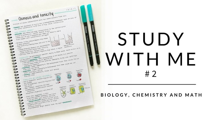 Study with me #2 | Biology notes, chemistry notes and math | studytee