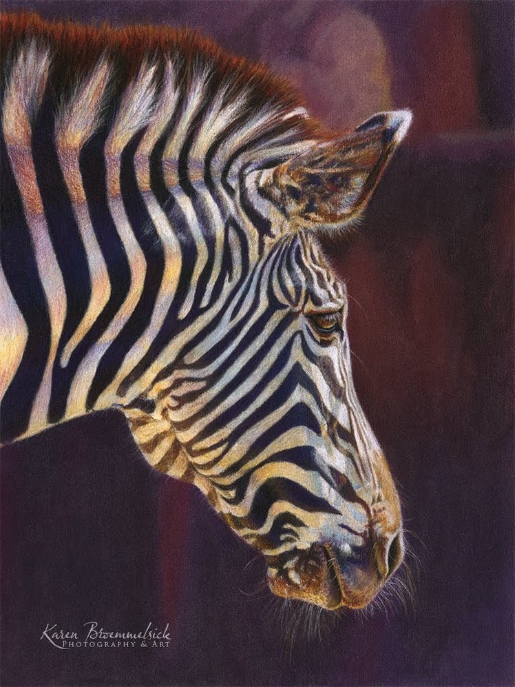 Drawing a Zebra in Colored Pencil with Powder Blender | Tutorial