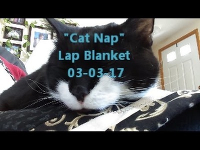 Cat Nap Lap Blanket #1   03 03 17