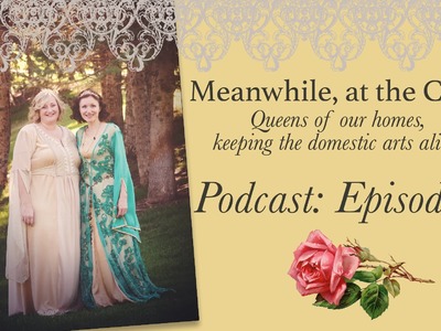 Meanwhile, at the Castle podcast episode 3- Introducing my Co-Host, and a GIVEAWAY!
