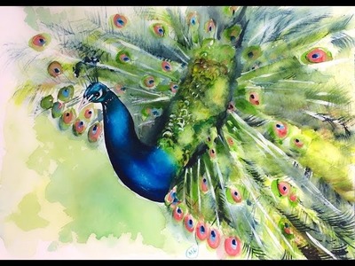 Watercolor Peacock Painting Demonstration