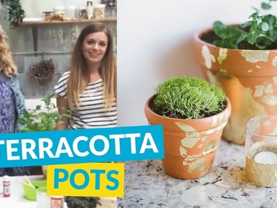 Different Ways To Decorate Terracotta Pots!