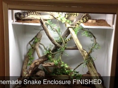DIY Snake Enclosure FINISHED