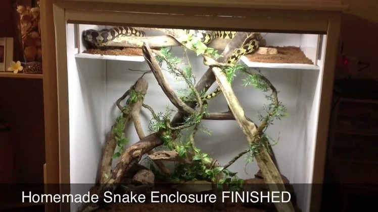 DIY Snake Enclosure FINISHED